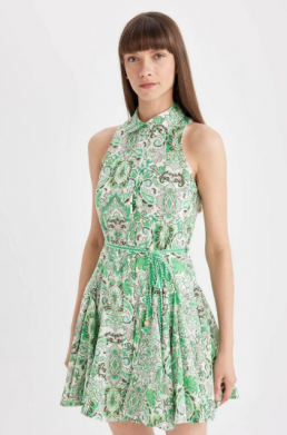 Paisley Sleeveless Dress